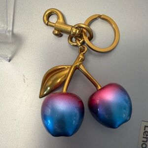 Multicolor Cherry Keychain/Bag charm